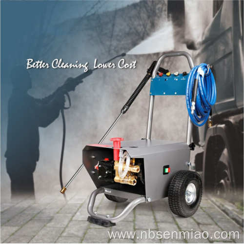 Electric portable car washer